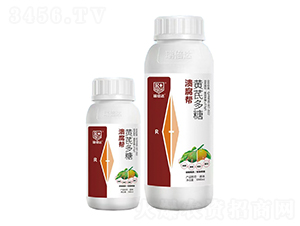 �S�ζ���-������-���_(d��)