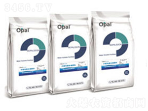 OPAL��(gu��)�a(ch��n)ˮ�ܷ���-�W�㘷(l��)