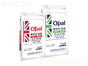 ��ʺ�һ��(f��)�Ϸ���-�W�㘷