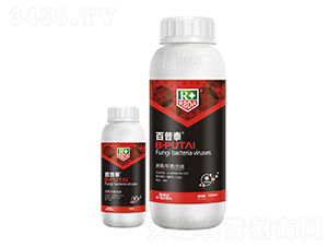 ����̩-���_(d��)