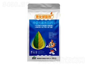 �S���ޏ̈́�-����Ƽ�