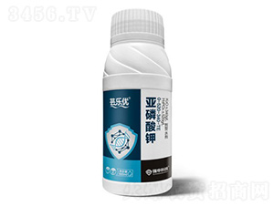 �|����(y��u)���������-��(qi��ng)��Ƽ�