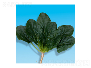 ���˷N��-孲�5̖-�A孷N�I(y��)