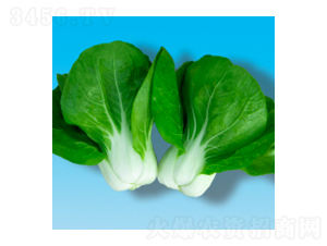 �๣�˷N��-���204-�A孷N�I(y��)