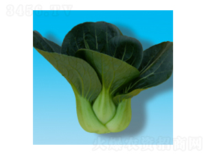 �๣�˷N��-���317-�A孷N�I(y��)