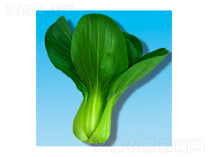 �๣�˷N��-���353-�A孷N�I(y��)