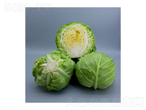 ���{(l��n)�N��-�GӰ-�A孷N�I(y��)