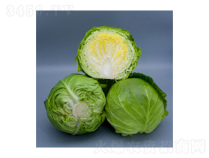 ���{(l��n)�N��-���{(l��n)2116-�A孷N�I(y��)