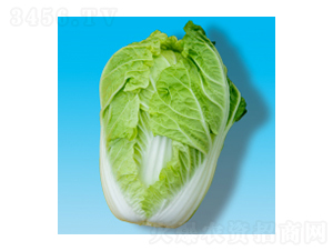 ��ײ˷N��-��S003-�A孷N�I(y��)