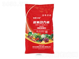 �n����(d��ng)����-���S��ζ-����΢