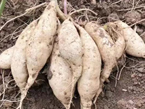 ����75-����N�I(y��)