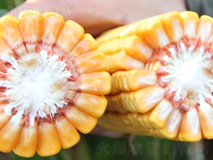 ����188-���׷N��-�Ǻ�����N�I(y��)