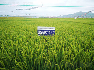 ��Ƀ�(y��u)1122-ˮ���N��-�𽡷N�I(y��)