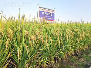 ���Ƀ�(y��u)Q8-ˮ���N��-�𽡷N�I(y��)