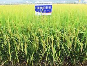 誃Ƀ�(y��u)����-ˮ���N��-�𽡷N�I(y��)