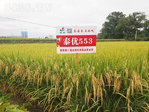 ̩��(y��u)553-ˮ���N��-�𽡷N�I(y��)