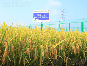 ��ɏ�zռ-ˮ���N��-�𽡷N�I(y��)