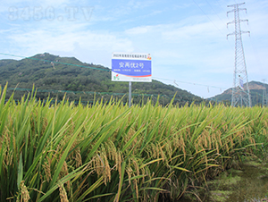 ���Ƀ�(y��u)2̖(h��o)-ˮ���N��-�𽡷N�I(y��)