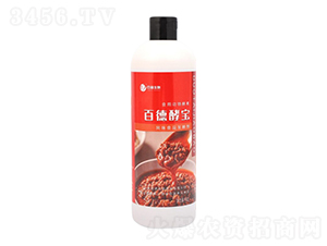 �ٵ½͌�-�ٵ�����