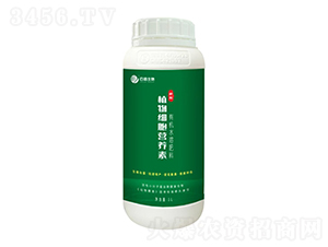 ֲ�：(x��)���I�B(y��ng)��-�ٵ�����