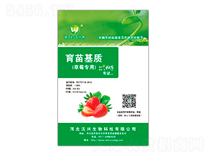 ��ݮ����������|(zh��)-���d����