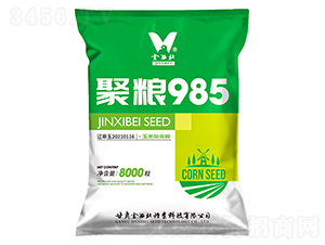 �ۼZ985-���׷N��-�������N�I(y��)