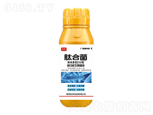 ��(f��)��΢�������-�ĺϾ�-���S�r(n��ng)�I(y��)