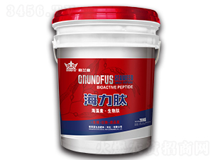 �����ģ������ء������ģ�-���m��