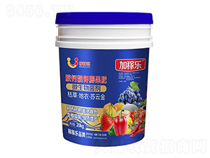 �z�}�n������-�Ӽژ�(l��)-�ڼژ�(l��)