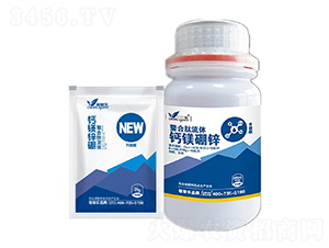 ���������w�}�V���\-�ڼژ�