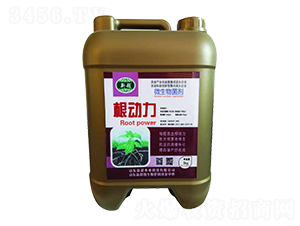 ΢�������-������-�³��r(n��ng)�I(y��)