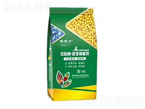 ����ø��΢�������-�����