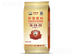 ���Ľj�ϓ����16-20-20-���ϣ-���ʢԴ