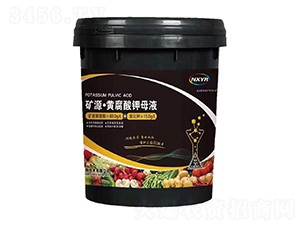 20kg�VԴ���S�����ĸҺ-��������