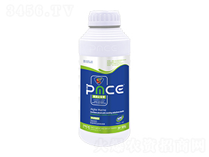 ����������ˮ�ܷ���-��˹ֹ����-����˹