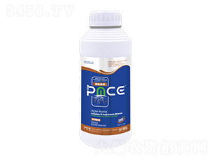 ����������ˮ�ܷ���-��˹����-����˹