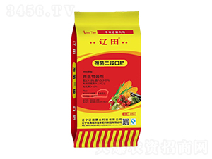 �߾����@�ڷ�-�|��ʘI(y��)