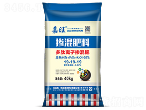 �����x�ӓ����19-19-19-����-���ʢԴ