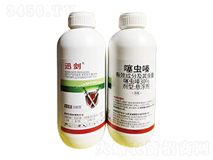 30%���xຑҸ���-Ѹ��-�I�x����