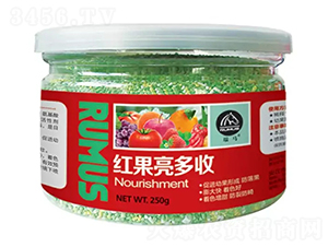 �t��������-�̶�����