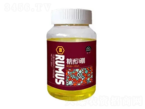 ���R�Ǵ���-�̶�����