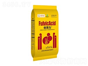 ��(y��u)����-�̶�����