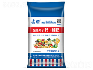 �����x���}+���-����-���ʢԴ