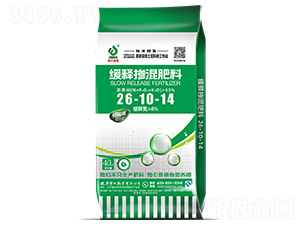 ��ጓ������26-10-14-���ʢԴ