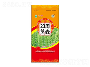 ����23̖(h��o)С���N��-�S���r(n��ng)�I(y��)