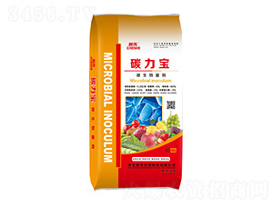 ΢�������-̼����-��������