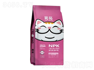 ��(d��ng)�B(t��i)����ʴ���Ԫ��ˮ�ܷ���20-20-20+TE-��؈�r(n��ng)�I(y��)