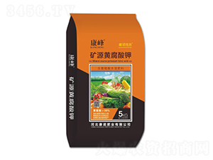 �VԴ�S�����-����-���Z�ʘI(y��)