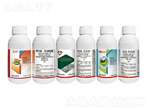 ���Ե�����Q����-�����