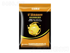 �VԴ�S�����-�ѾG�ڽ�-�����